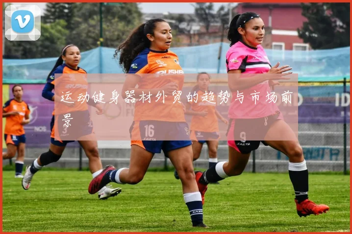 运动健身器材外贸的趋势与市场前景