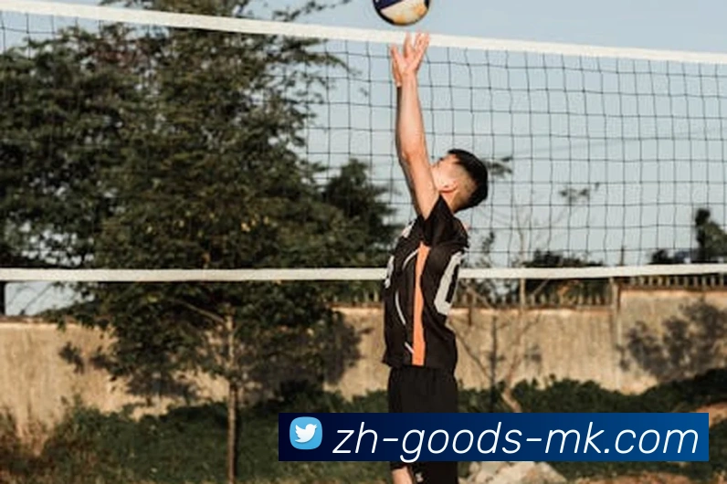 MK体育平台生态图